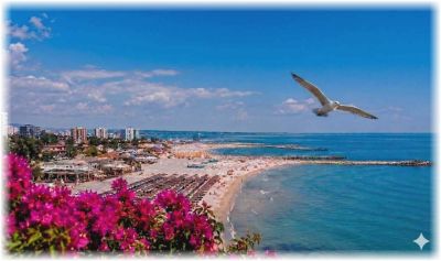 Camere Live Litoral