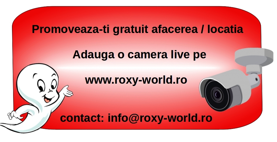Camere Live Roxy World