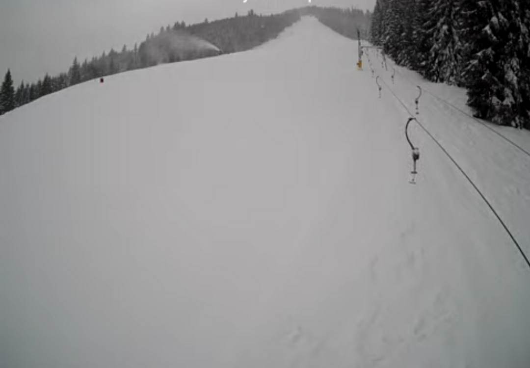 cam Live Partia de Schi Rausor Clif Alpin